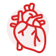 Cardiology