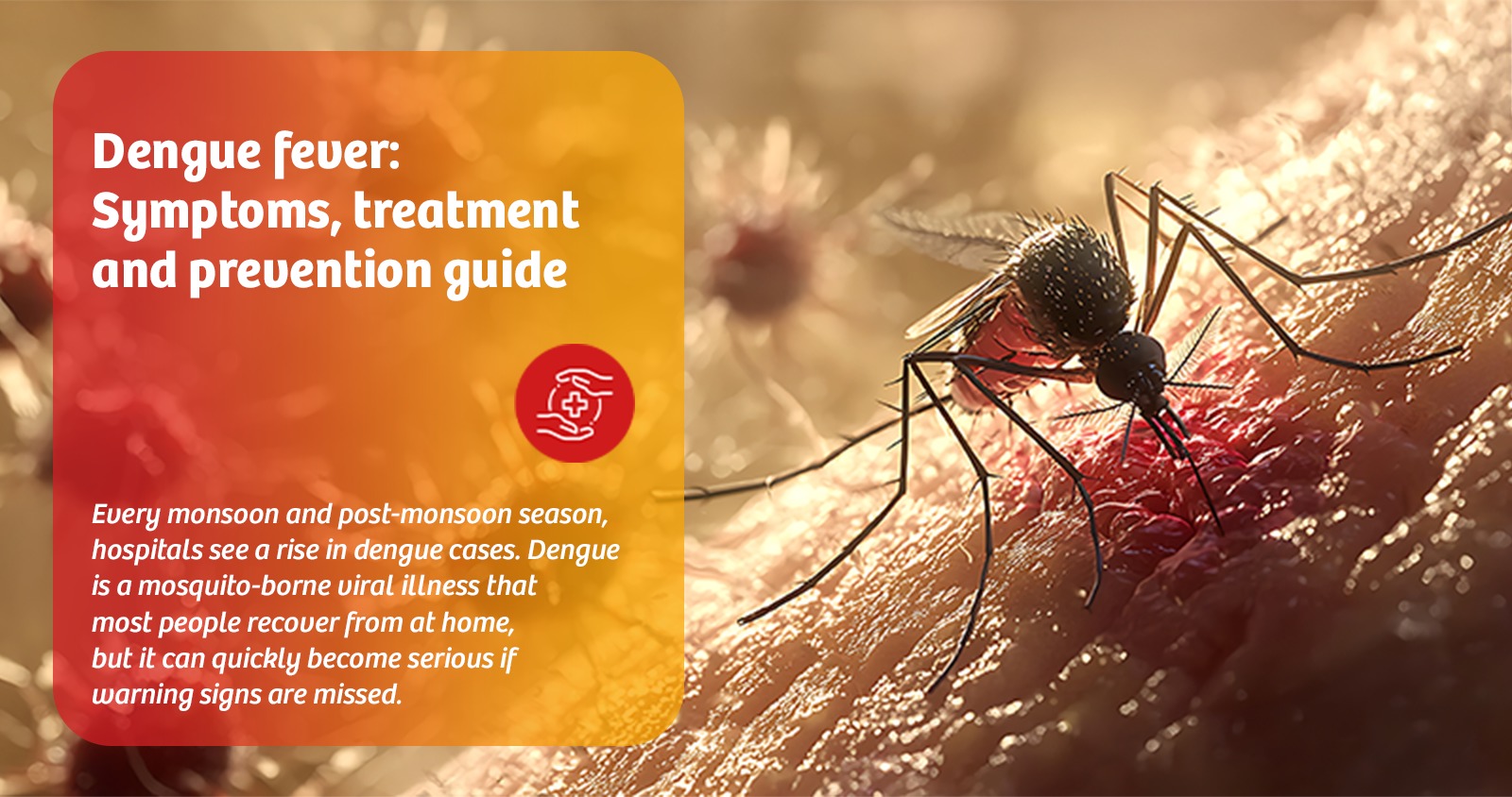 Dengue fever: Symptoms, treatment and prevention guide